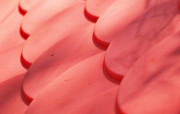 Cloatley plastic roof costs