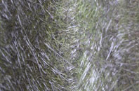 Cloatley fibreglass roof work